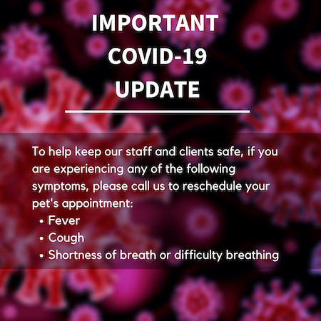 IMPORTANT COVID 19 UPDATE 1
