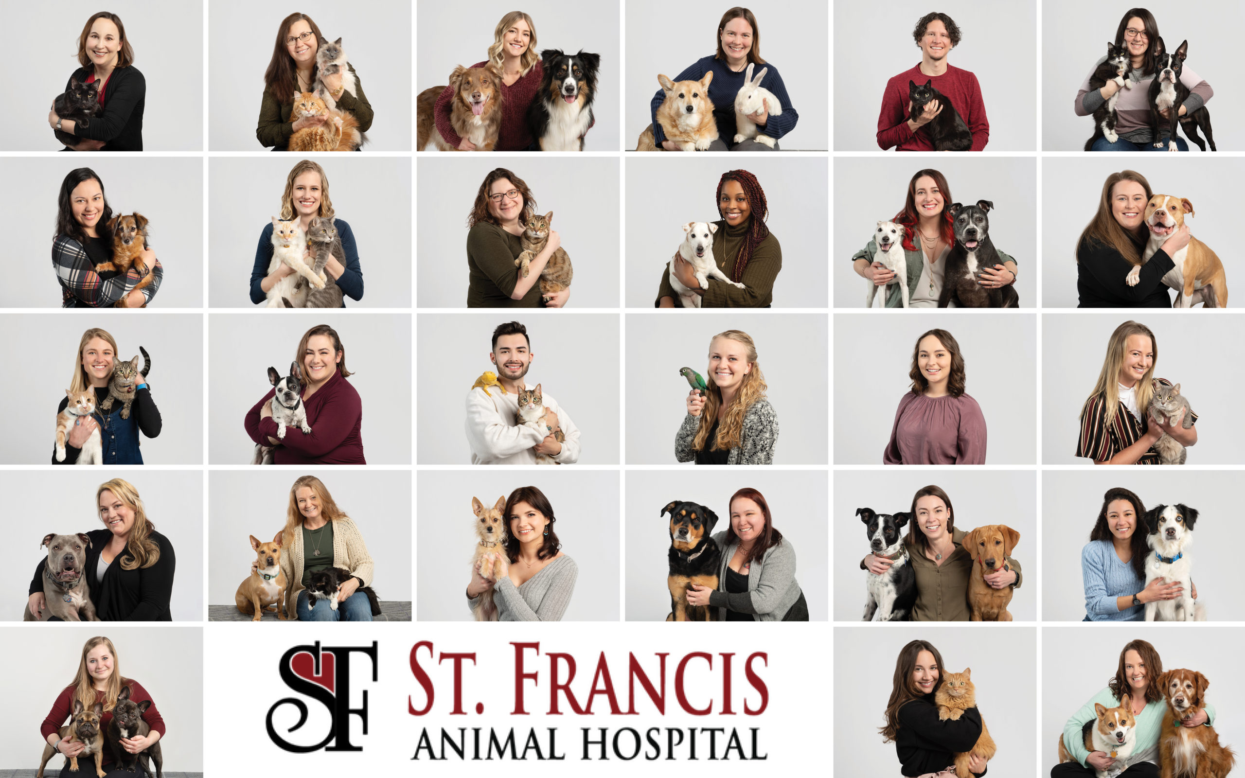 st francis animal staff